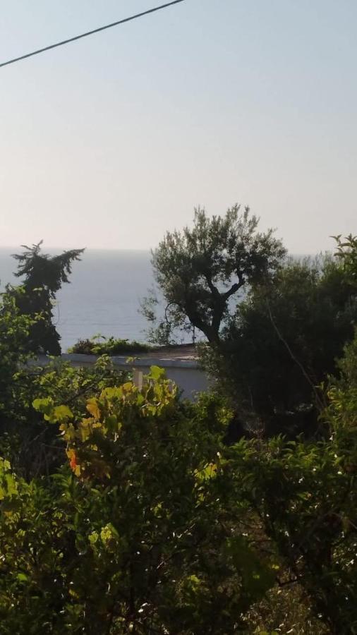 Mullaj Guest House Wlora Zewnętrze zdjęcie